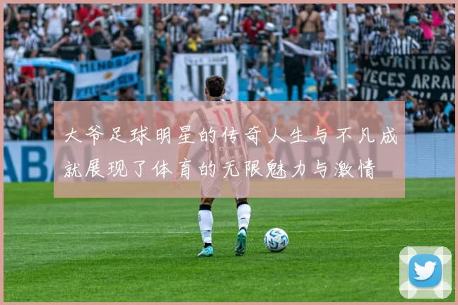 大爷足球明星的传奇人生与不凡成就展现了体育的无限魅力与激情