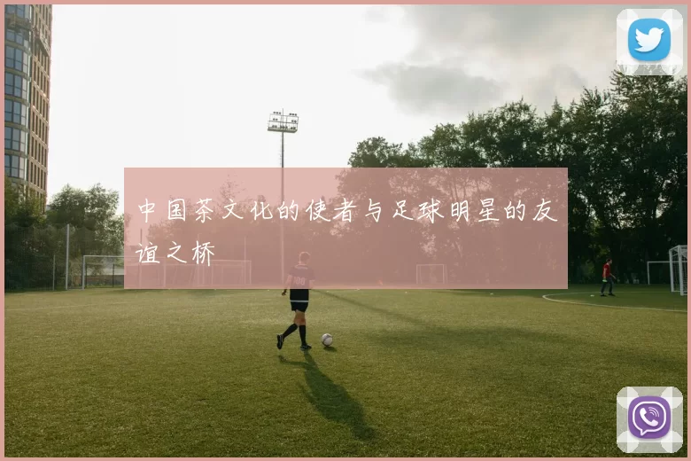 中国茶文化的使者与足球明星的友谊之桥